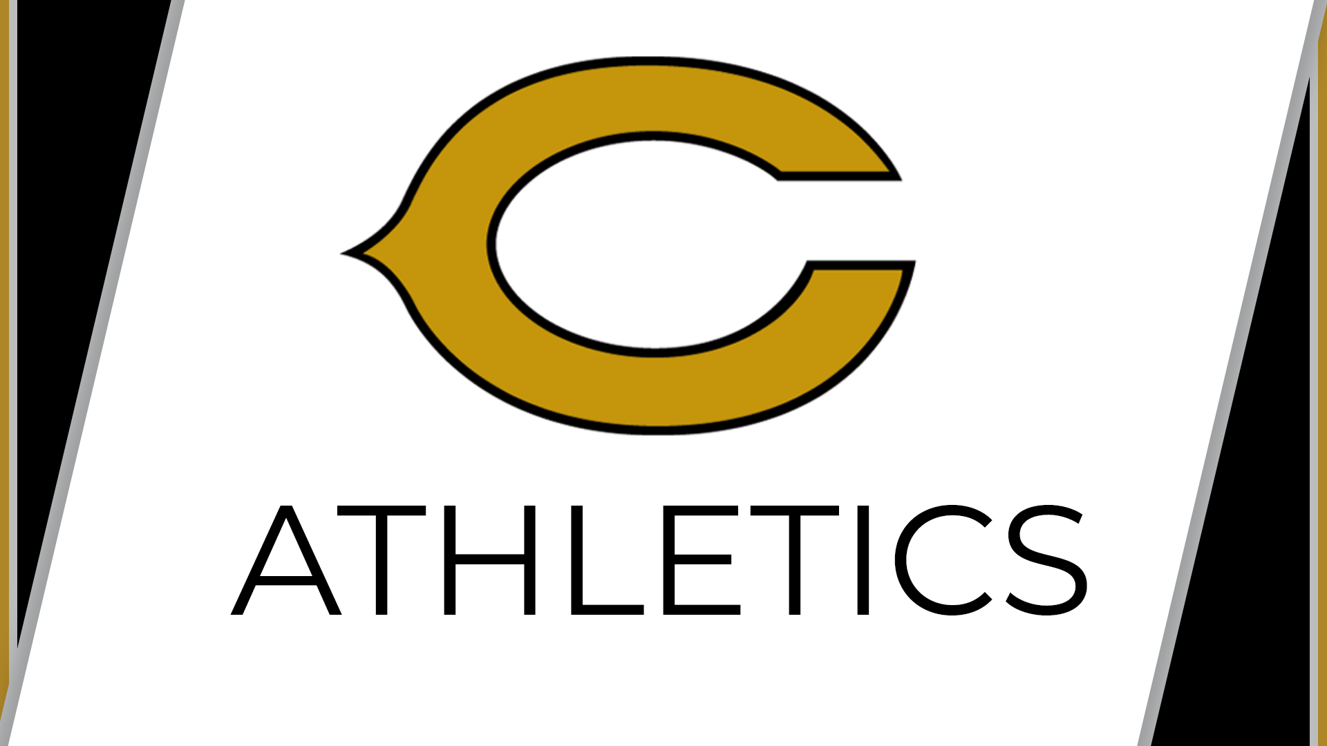 Jacket Baseball