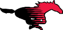 Shallowater
