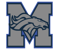 Metzger MS logo