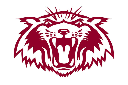 Plano logo