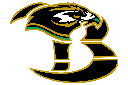 *Birdville logo