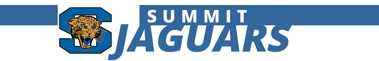 Summit Banner Image