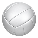 Jr High Volleyball  logo