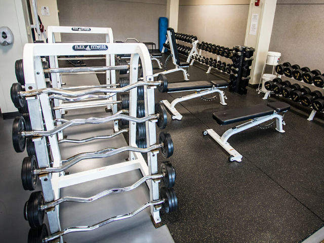 Fixed Barbells (20-110lbs),  Dumbbells (5-100lbs), True Paramount Benches 3