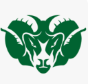 Badin logo