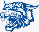 Williamsburg logo