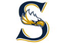 Savio logo