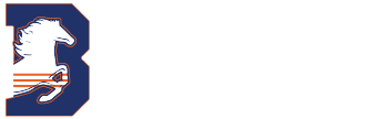 Blue Lights main logo