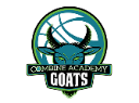 Combine Academy logo
