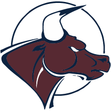 Belle Isle Enterprise HS logo