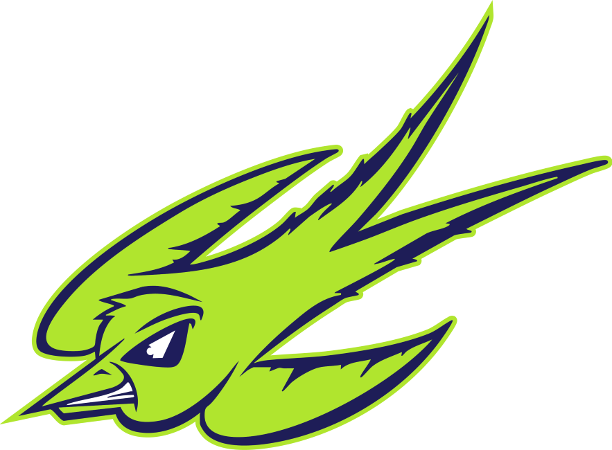 Skyline MS logo