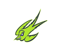 Skyline MS logo