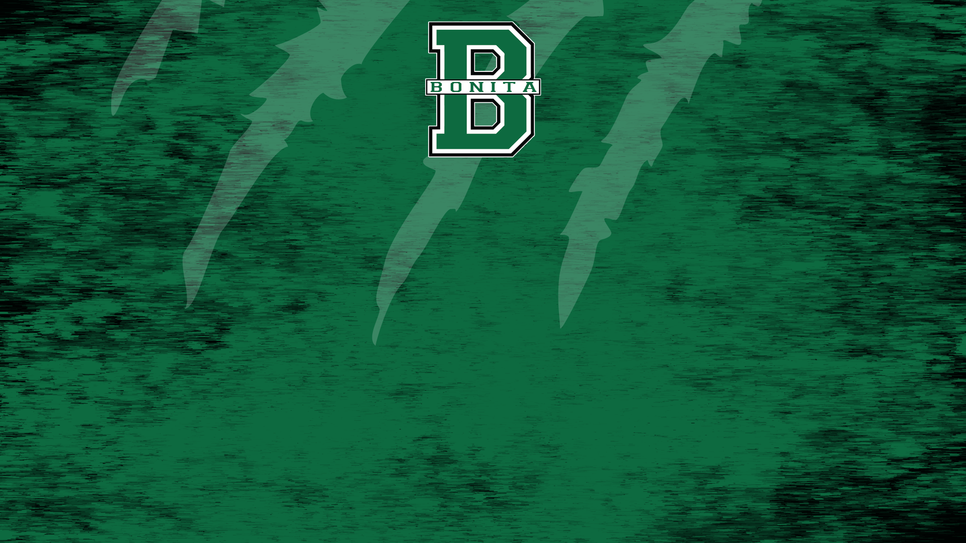 Stick, Speed, and Strength: The Season of The Bonita Field Hockey Team