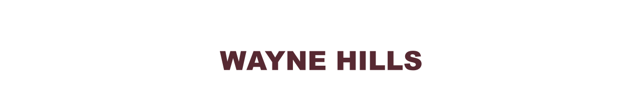 Wayne Hills Banner Image