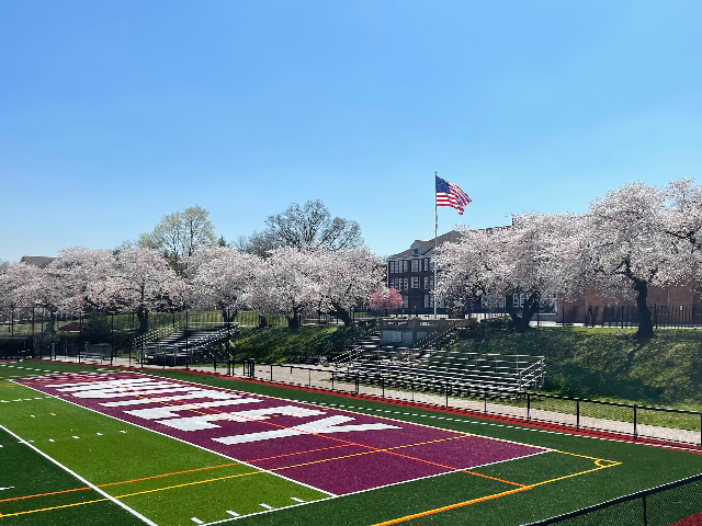 Nutley Park Oval