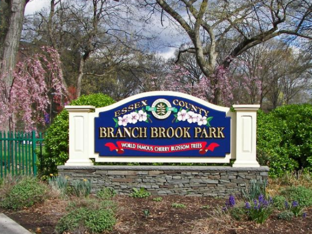 Branch Brook Park