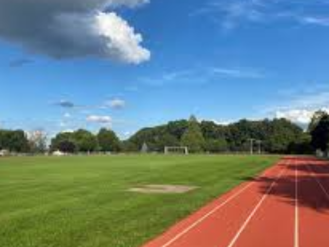 DeMuro Park