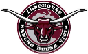 Rancho Buena Vista High School