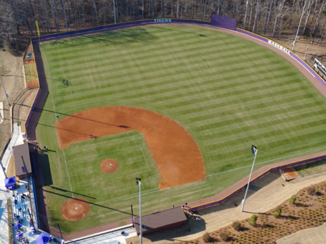 Tigers Baseball Field at John Smoltz Complex 0