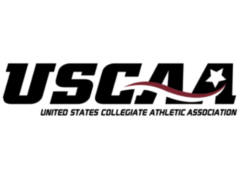 The logo of https://www.theuscaa.com/landing/index