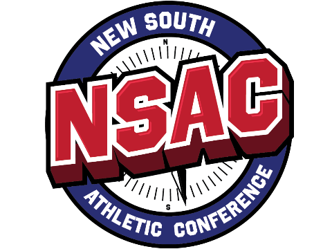 The logo of https://newsouthconference.com/