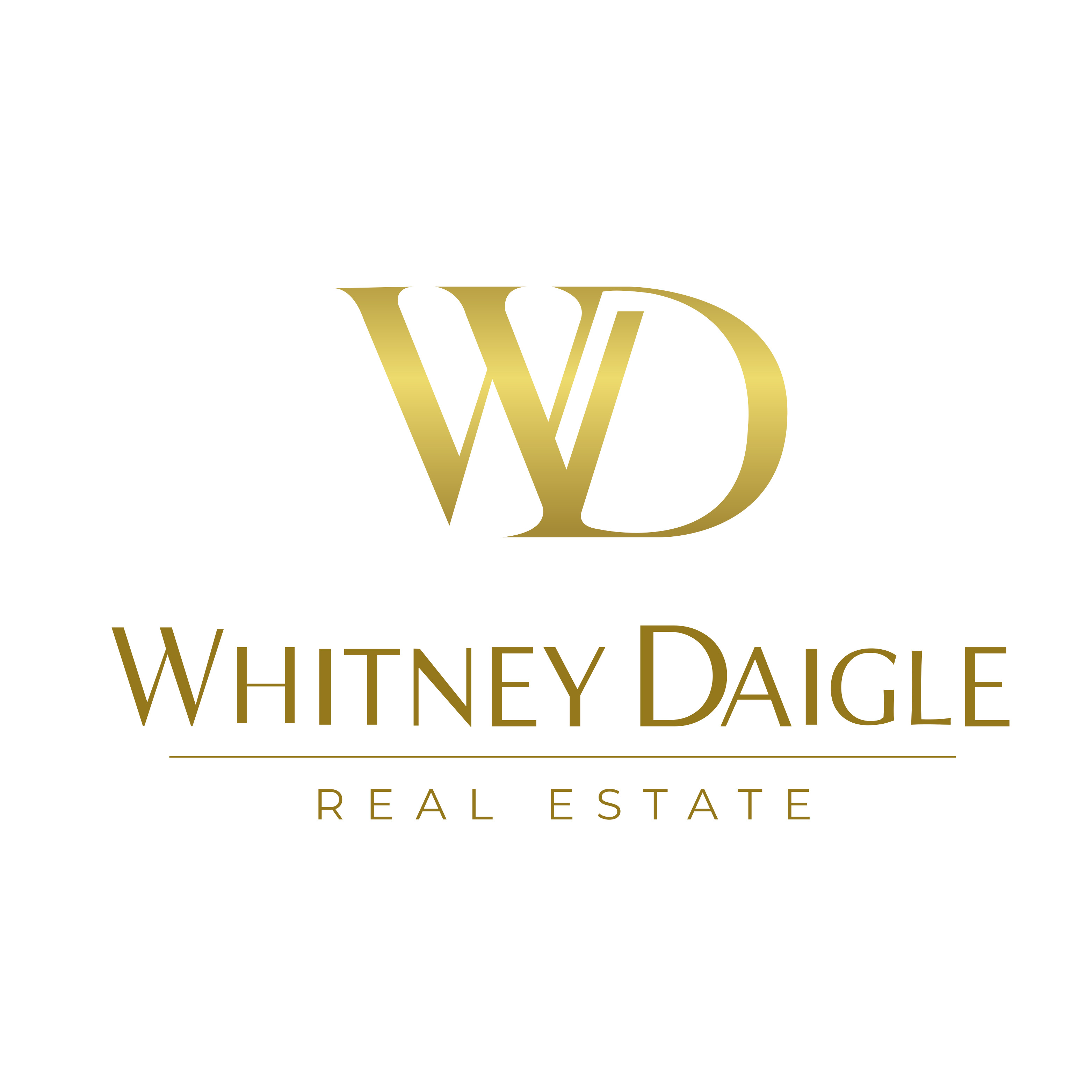 Another Sponsor Logo