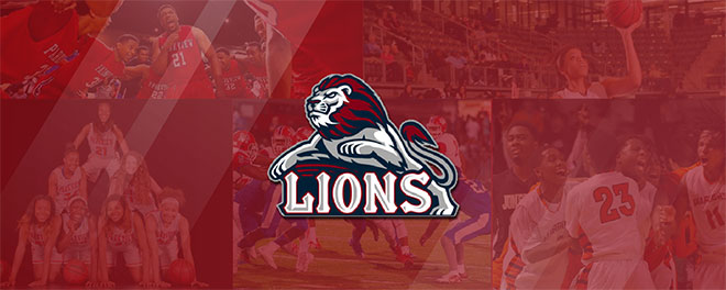 McClellan banner image