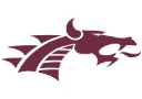 Dragon Fire logo