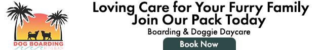 Advertisement image for Dog Boarding at the Beach