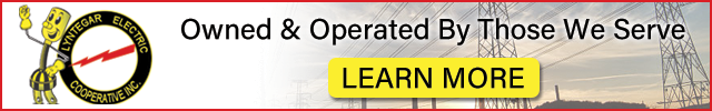 Advertisement image for Lyntegar Electric Cooperative Inc