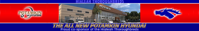 Advertisement image for Potamkin Hyundai