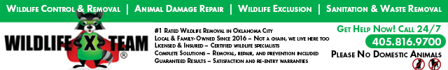 Advertisement image for Wildlife X Team 