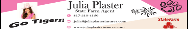 Advertisement image for Julia Plaster State Farm
