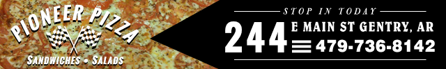 Advertisement image for Pioneer Pizza