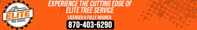 Advertisement image for Elite Tree Service