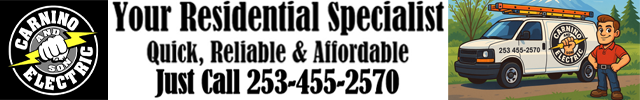 Advertisement image for Carnino Electric LLC