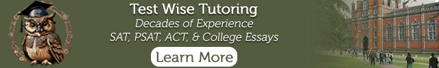 Advertisement image for Test Wise Tutoring