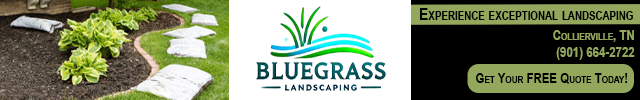 Advertisement image for BlueGrass Landscaping 