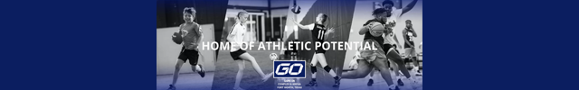 Advertisement image for Game On Sports Complex & Arena
