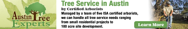 Advertisement image for Austin Tree Experts