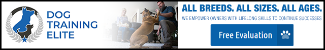 Advertisement image for Dog Training Elite
