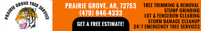 Advertisement image for Prairie Grove Tree Service