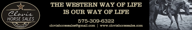 Advertisement image for Clovis Horse Sales