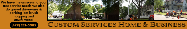 Advertisement image for Custom Services Home & Business