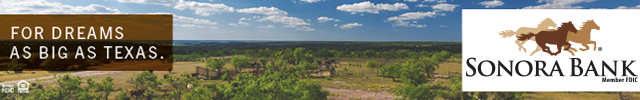 Advertisement image for Sonora Bank