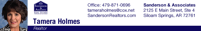 Advertisement image for Tamera Holmes-Sanderson & Associates Real Estate 
