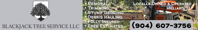 Advertisement image for Blackjack Tree Service