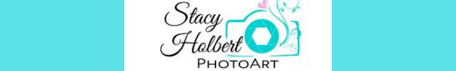 Advertisement image for Stacy Holbert Photoart