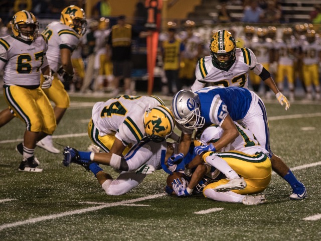 Dog Pile