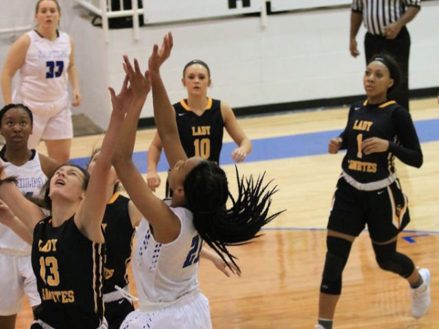 Coed Varsity Basketball Gallery Images